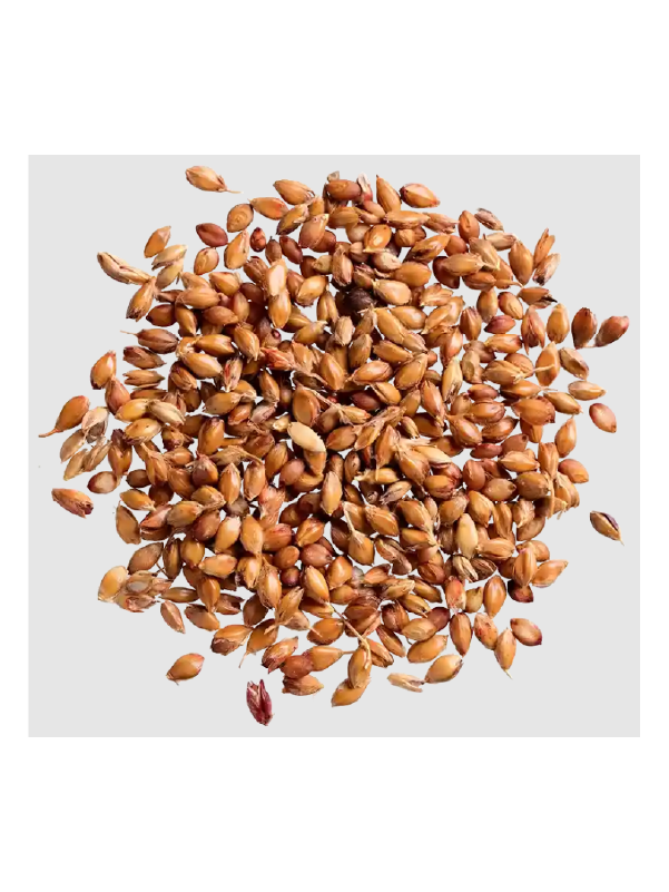 Cebada_semitostada_500gr