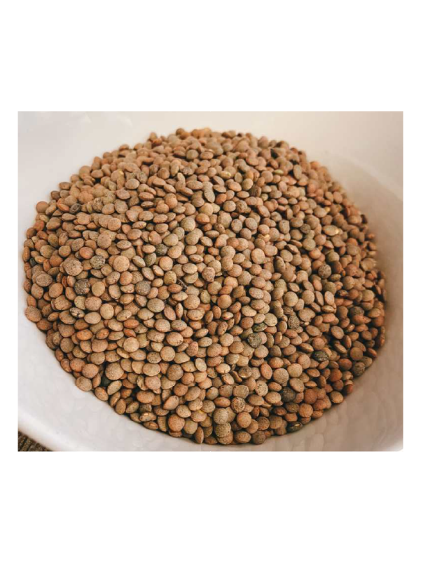 Lenteja_500gr