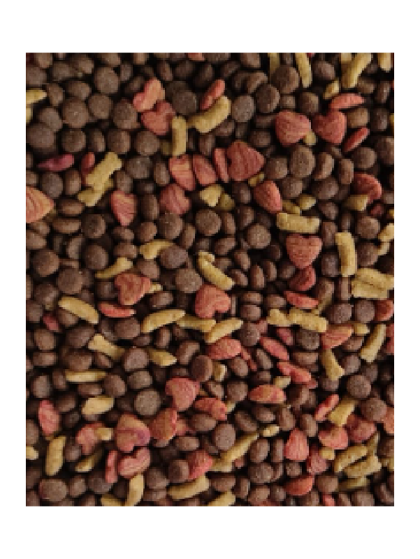 Ricocan_cachorro_carne_1kg